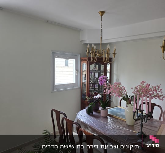 חדר אוכל עם שולחן, כיסאות וצמחים